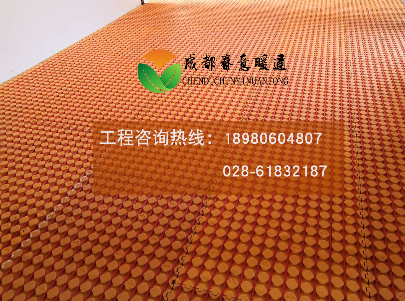 1545804867941062.jpg 1223456.jpg