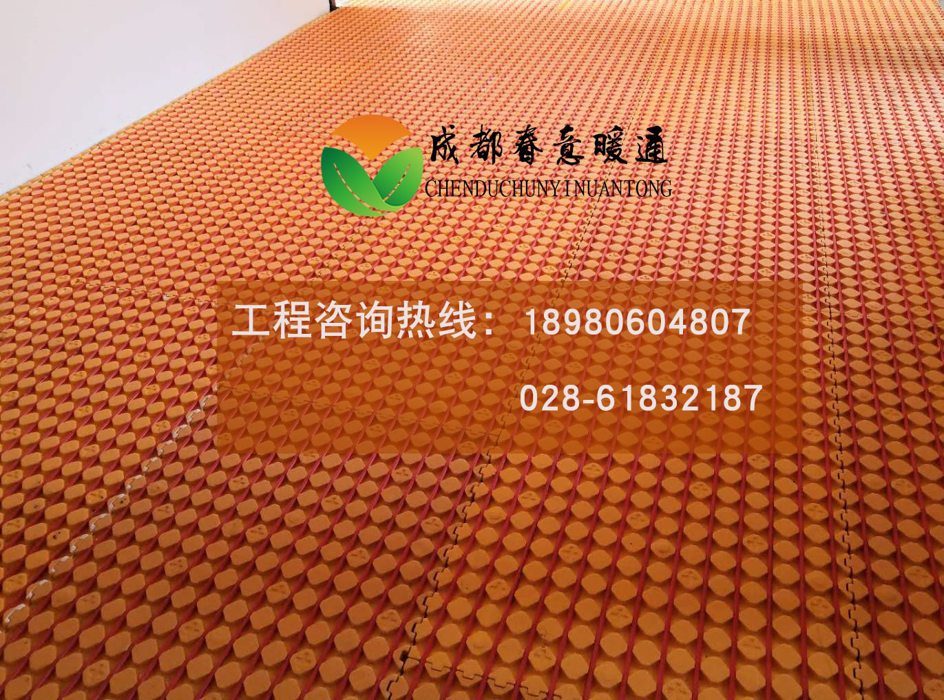 1550643363217826.jpg 1223456.jpg